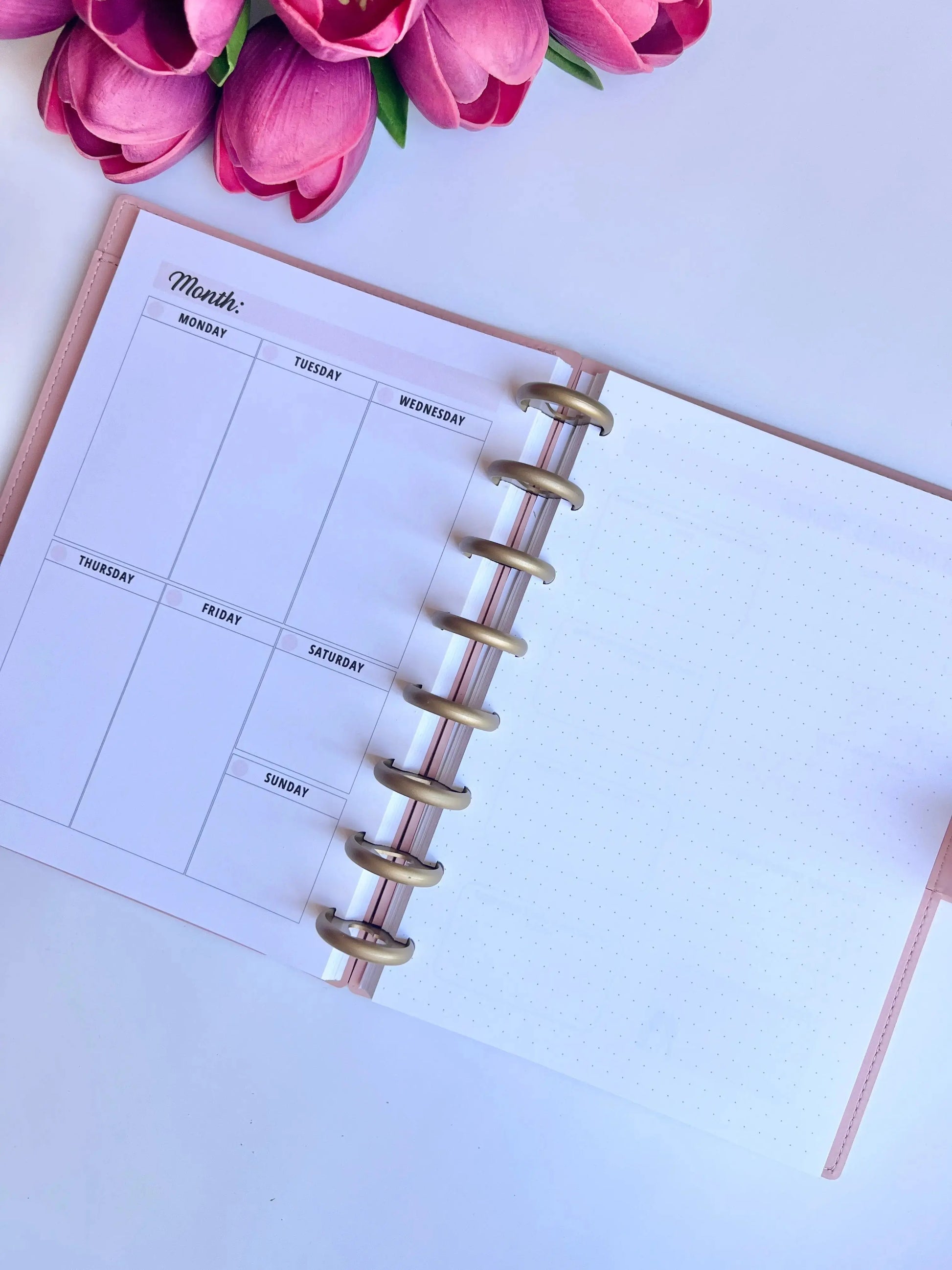 A5 Discbound 2026 weekly and monthly planner journal by The Fabulous Planner with colorful tabs and structured pages for organization.