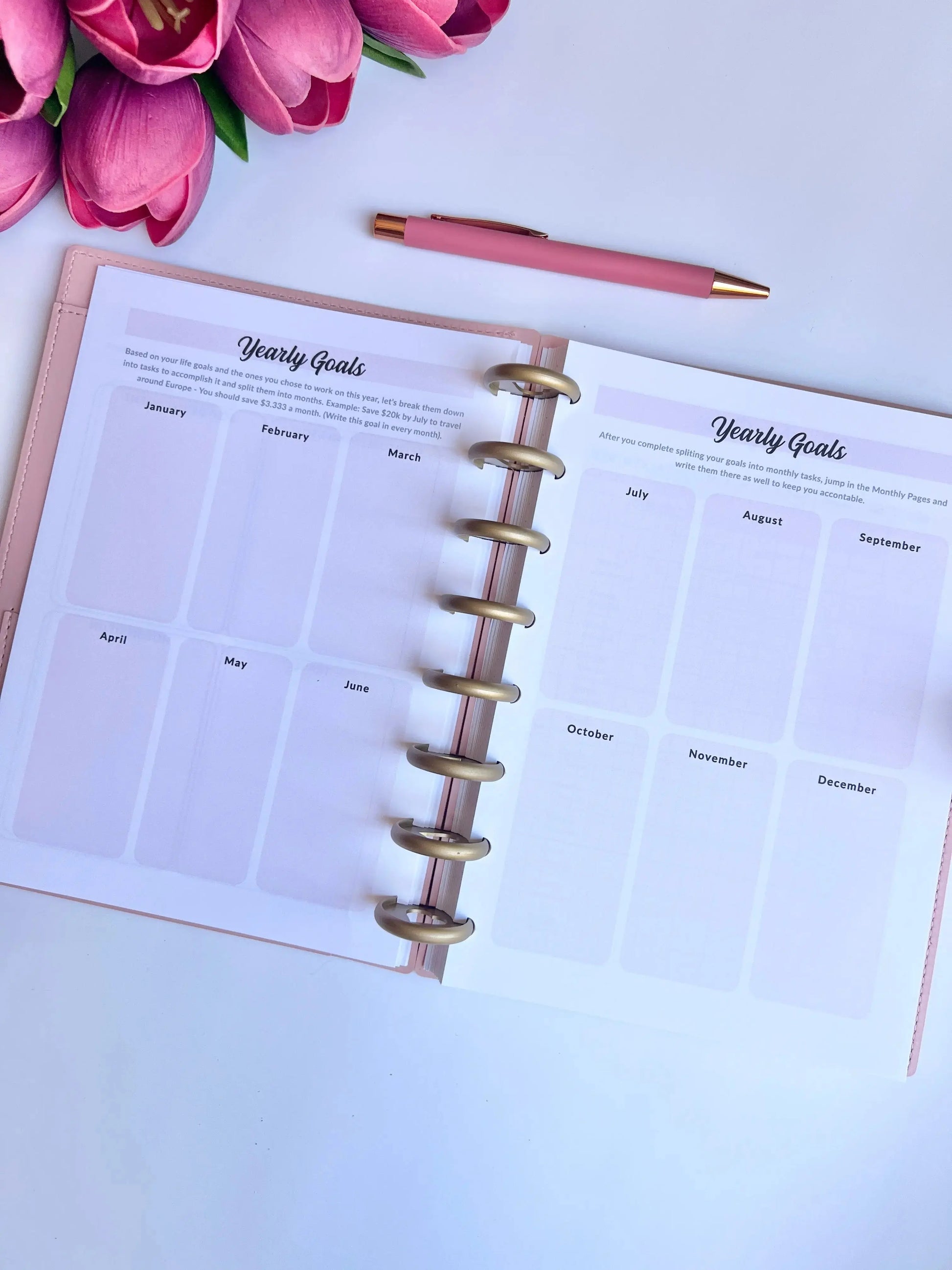 A5 Discbound 2026 weekly and monthly planner journal by The Fabulous Planner with colorful interior pages and disc binding.