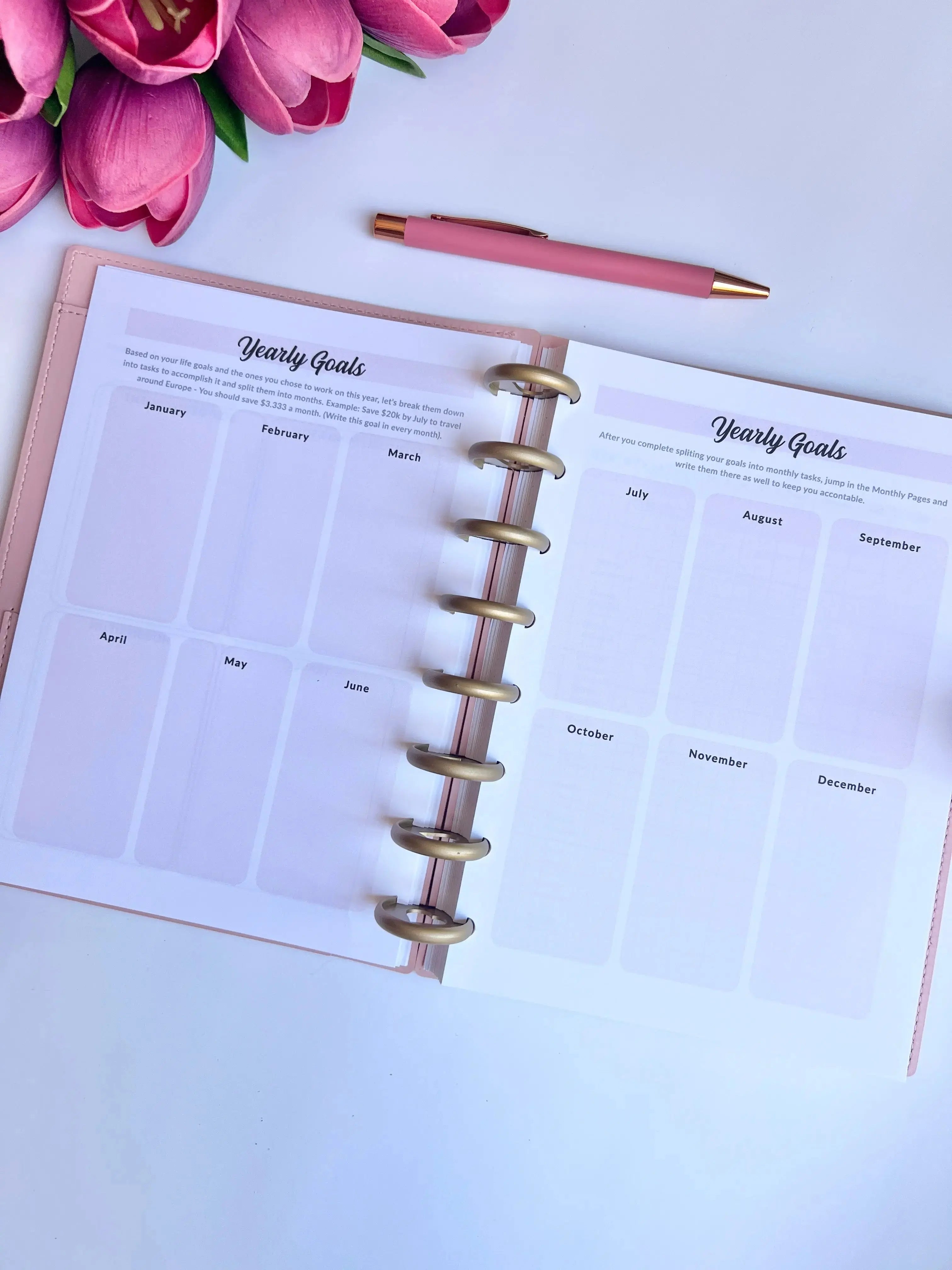 A5 Discbound 2026 weekly and monthly planner journal by The Fabulous Planner with colorful interior pages and disc binding.